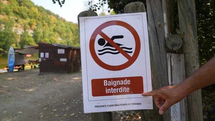 Baignade sous surveillance